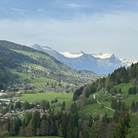 Chalet Saint Victor, Praz Sur Arly Eksteriør billede